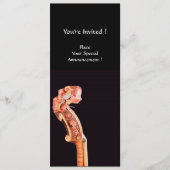 SYMPHONIA / CONCERTPROGRAMMA KLASSIEKE MUZIEK PROGRAMMAKAART (Voorkant)