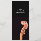 SYMPHONIA / CONCERTPROGRAMMA KLASSIEKE MUZIEK PROGRAMMAKAART (Achterkant)