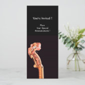 SYMPHONIA / CONCERTPROGRAMMA KLASSIEKE MUZIEK PROGRAMMAKAART (Staand voorkant)