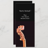 SYMPHONIA / CONCERTPROGRAMMA KLASSIEKE MUZIEK PROGRAMMAKAART (Voorkant / Achterkant)