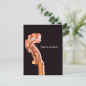 SYMPHONIA / KLASIEKE MUZIEK KAART (Staand voorkant)