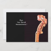 SYMPHONIË/CLASSIC MUZIEK KAART (Achterkant)