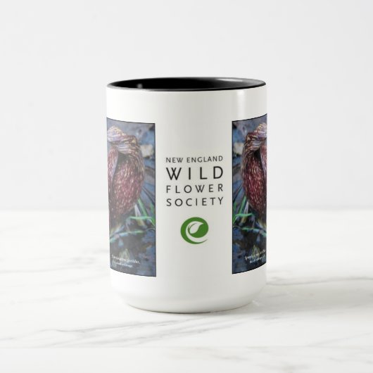 Symplocarpus foetidus, stinkkool mok (Midden)