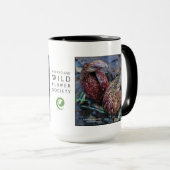 Symplocarpus foetidus, stinkkool mok (Voorkant rechts)