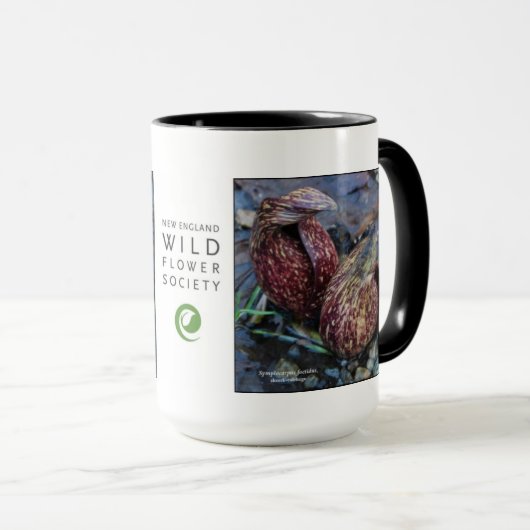 Symplocarpus foetidus, stinkkool mok (Voorkant rechts)