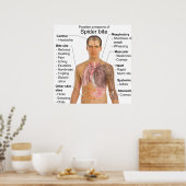 Symptomen die vaak voorkomen in Poisonous Spider B Poster (Keuken)