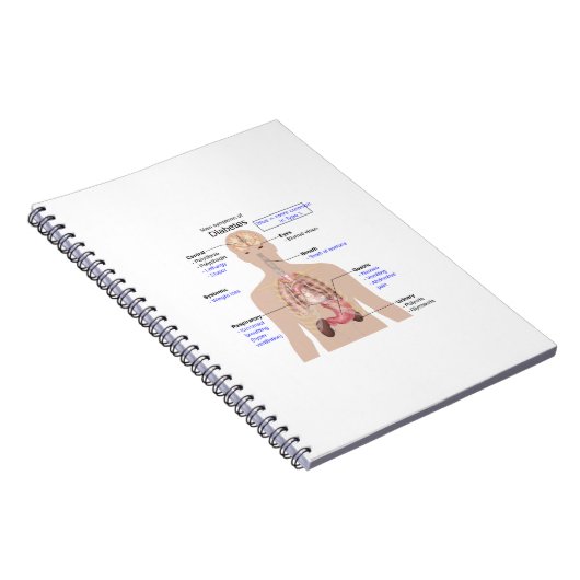 Symptomen van diabetes notitieboek (Rechterzijde)