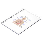 Symptomen van diabetes notitieboek (Linkerzijde)