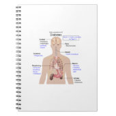 Symptomen van diabetes notitieboek (Voorkant)