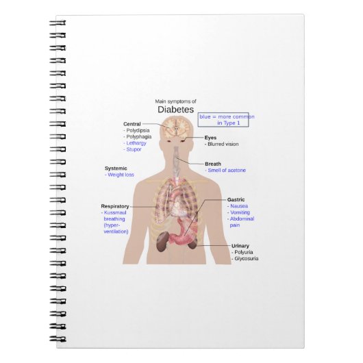 Symptomen van diabetes notitieboek (Voorkant)