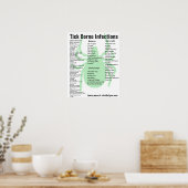 Symptomen van infectie door teik Borne Educational Poster (Keuken)