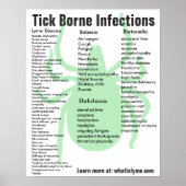 Symptomen van infectie door teik Borne Educational Poster (Voorkant)