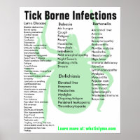 Symptomen van infectie door teik Borne Educational