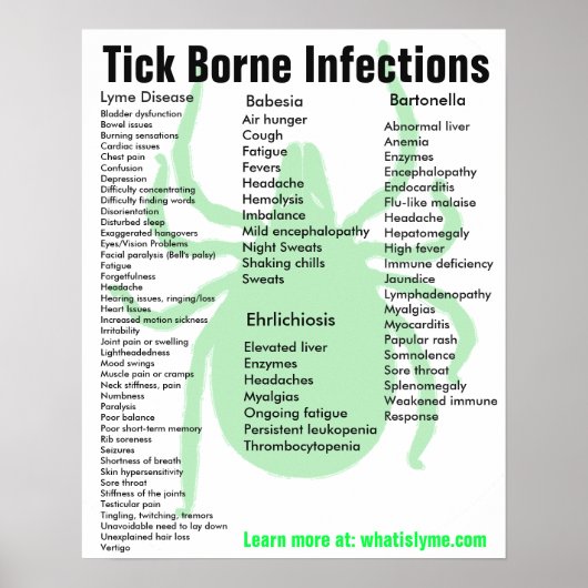 Symptomen van infectie door teik Borne Educational Poster (Voorkant)