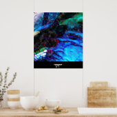 synaps poster (Keuken)