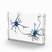 Synaps tussen neuronen, neurowetenschap neuron fotoblokken (Rechts)