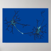 Synaps tussen neuronen, neurowetenschap neuron poster (Voorkant)