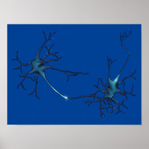 Synaps tussen neuronen, neurowetenschap neuron poster