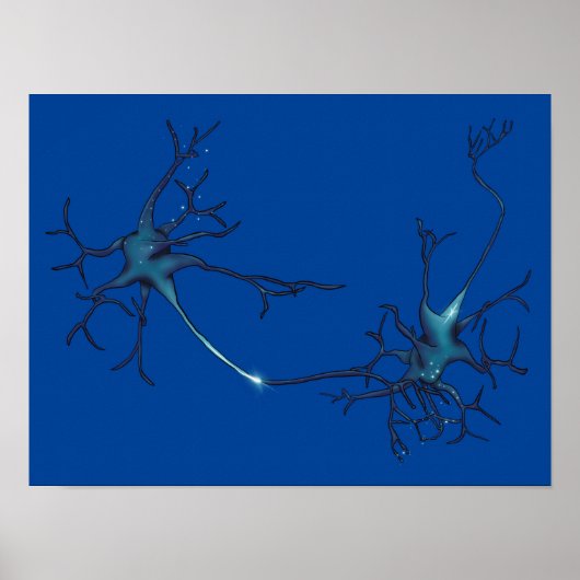 Synaps tussen neuronen, neurowetenschap neuron poster (Voorkant)