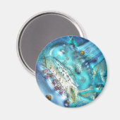 Synapse magneet (Voorkant / Achterkant)