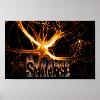 Synapse rode brand poster