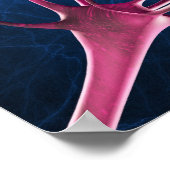 Synapsen genezen, computerillustraties. poster (Hoek)