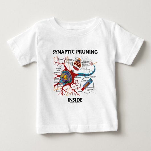 Synaptische snoeien in de Humor van Neuron Synapse (Voorkant)