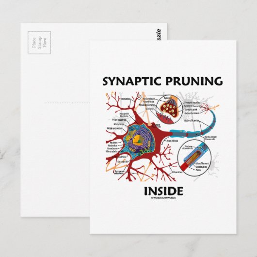 Synaptische snoeien in de Humor van Neuron Synapse Briefkaart (Voorkant / Achterkant)