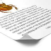 Synchronicity Scarab Poster (Hoek)