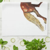 Synchronisatie Theedoek (Gevouwen)