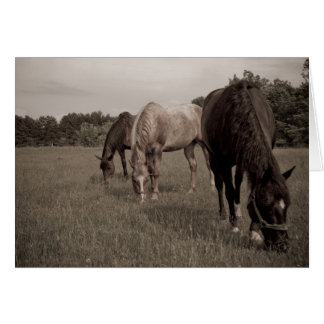 Synchronized Munching