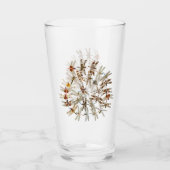 Syncronat Dragonflies Pint Glass Glas (Voorkant)