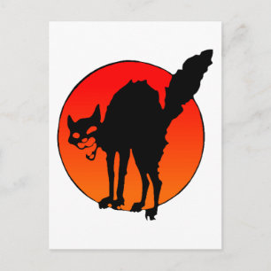 Syndicalistische kat briefkaart