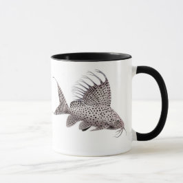 Synodontis eupterus Catfish Mok