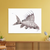 Synodontis Eupterus Catfish wrapped canvas Afdruk (Insitu (Woonkamer))