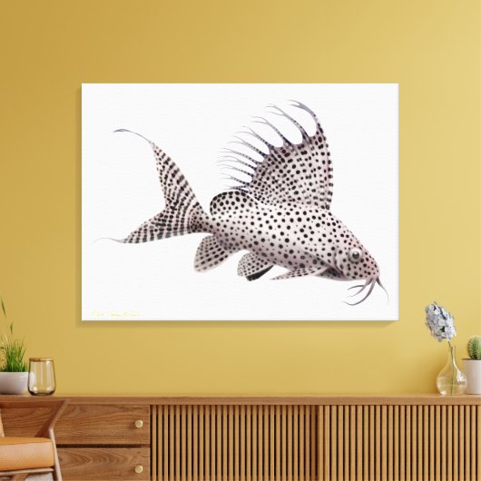 Synodontis Eupterus Catfish wrapped canvas Afdruk (Insitu (Woonkamer))