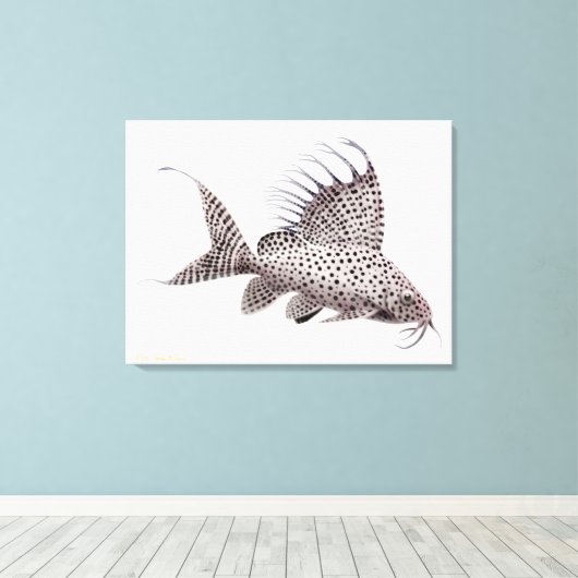 Synodontis Eupterus Catfish wrapped canvas Afdruk (Insitu (Houten vloer))