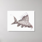 Synodontis Eupterus Catfish wrapped canvas Afdruk (Voorkant)