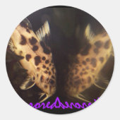 Synodontis meerval gespiegelde sticker (Voorkant)