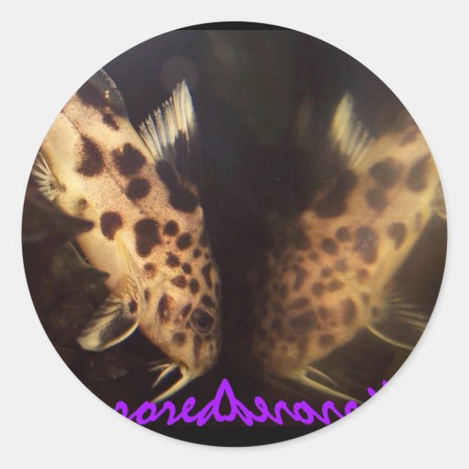 Synodontis meerval gespiegelde sticker (Voorkant)