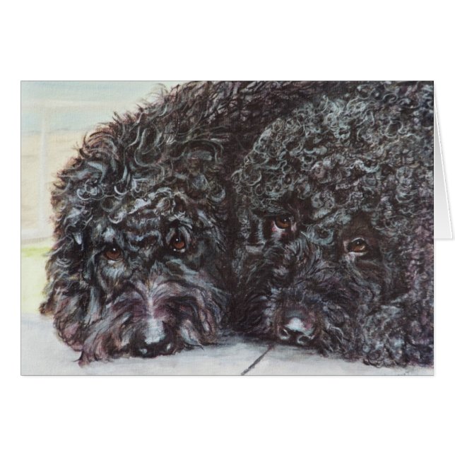 "Syrah en Cabernet" (Voorkant Horizontaal)