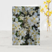 Syringa Kaart (Gele Bloem)
