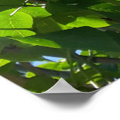 Syringa, Seringboom Poster (Hoek)
