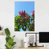Syringa, Seringboom Poster (Thuiskantoor)