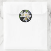 Syringa stickers (Tas)