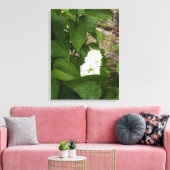 Syringa, witte Lila ventilator met regendruppels Canvas Afdruk (Insitu (Woonkamer))