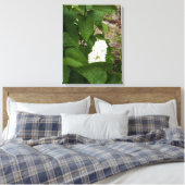 Syringa, witte Lila ventilator met regendruppels Canvas Afdruk (Insitu (Slaapkamer))