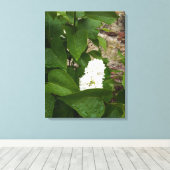 Syringa, witte Lila ventilator met regendruppels Canvas Afdruk (Insitu (Houten vloer))