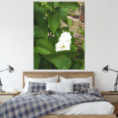 Syringa, witte Lila ventilator met regendruppels Canvas Afdruk (Insitu (Slaapkamer))