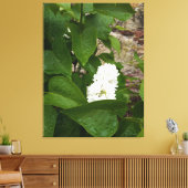 Syringa, witte Lila ventilator met regendruppels Canvas Afdruk (Insitu (Woonkamer))